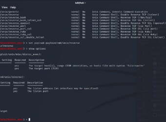 Penetration Testing with Kali